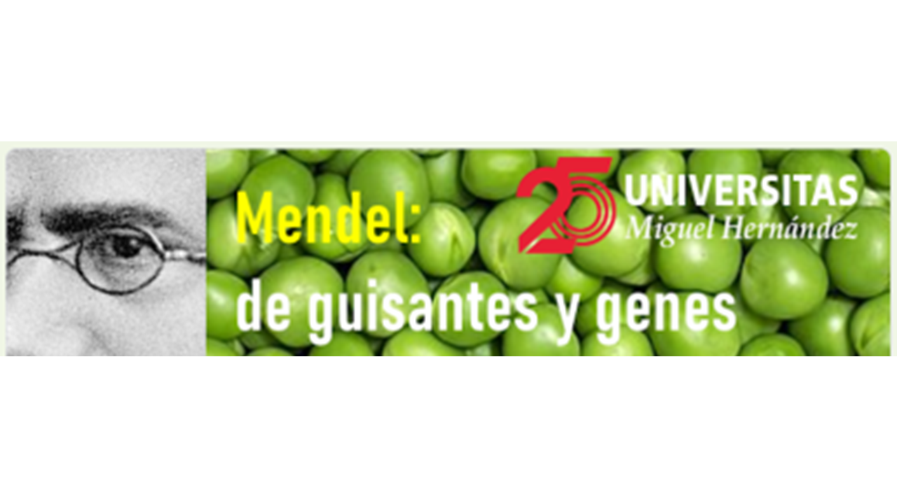 Presentación1